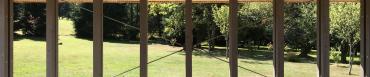 img_6205.jpeg