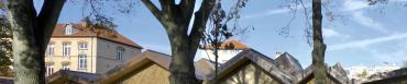 tg-chevilly-01.jpeg