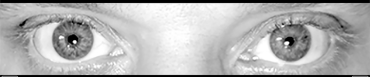 image_bandeau2.png