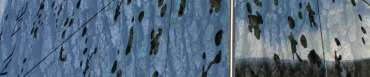 180deg_architectes.png