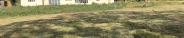 img_0843.jpeg