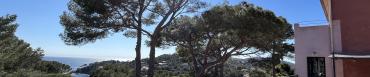 jolivet_img_2846.jpg