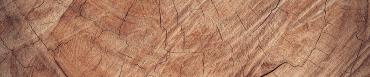 Gros plan texturé sur la section transversale d'un tronc d'arbre coupé. La surface en bois présente des nuances de brun chaud et de beige, marquée par des cernes de croissance circulaires.