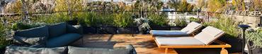 Rooftop paysager conçu par RM Architecte avec terrasse en bois et vue sur Paris