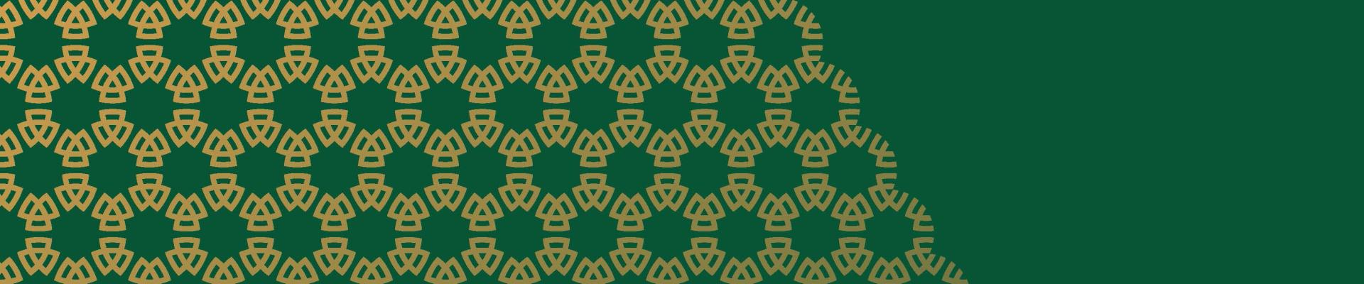 pattern-vert-jaune_bandeau.jpg