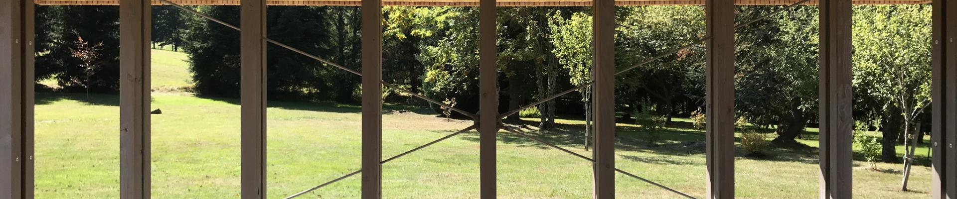 img_6205.jpeg