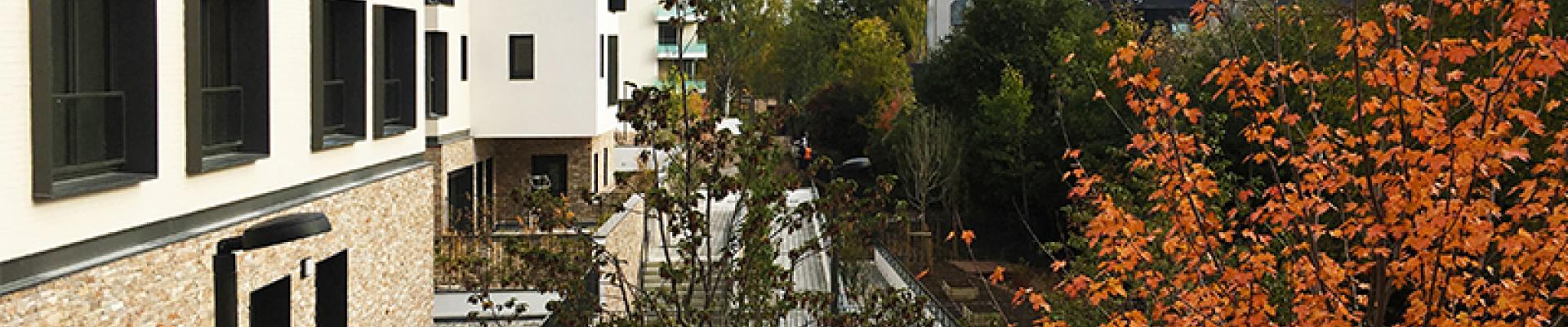 maisons-alfort_5.jpg