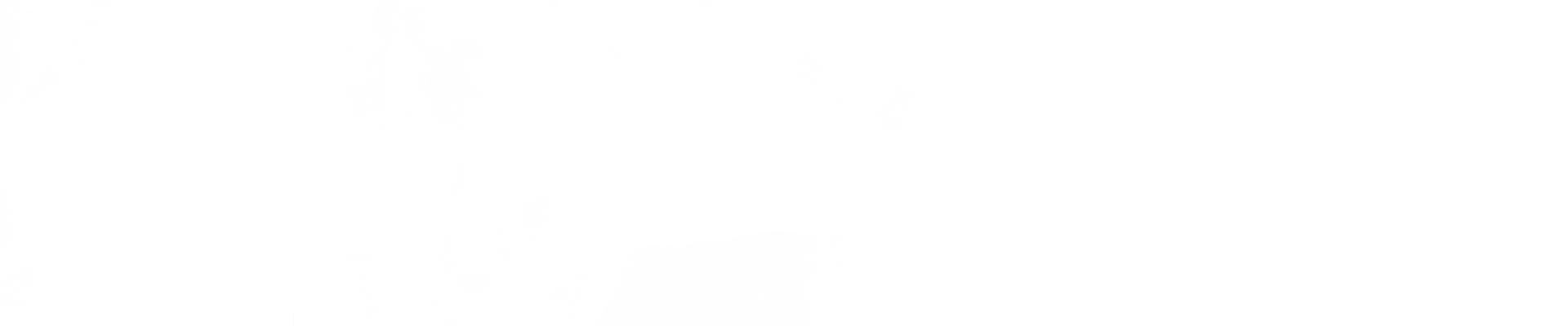 fundo_branco_copy.jpg