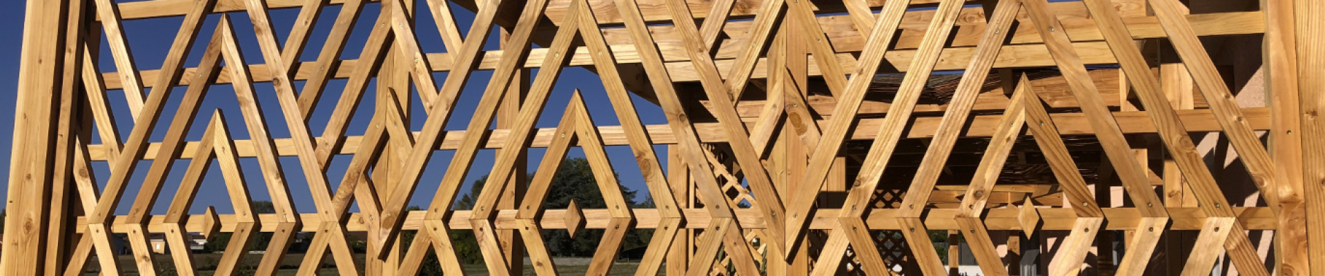photo-treillis-pergola.png