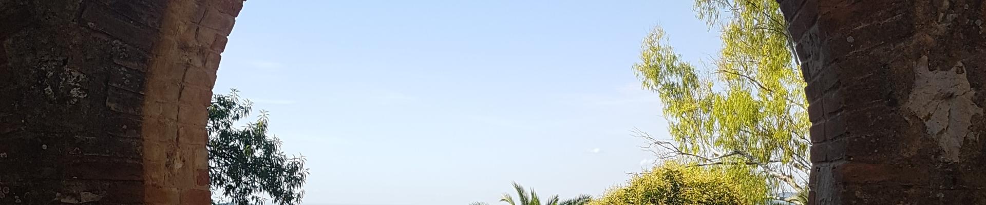 test_2_.jpg