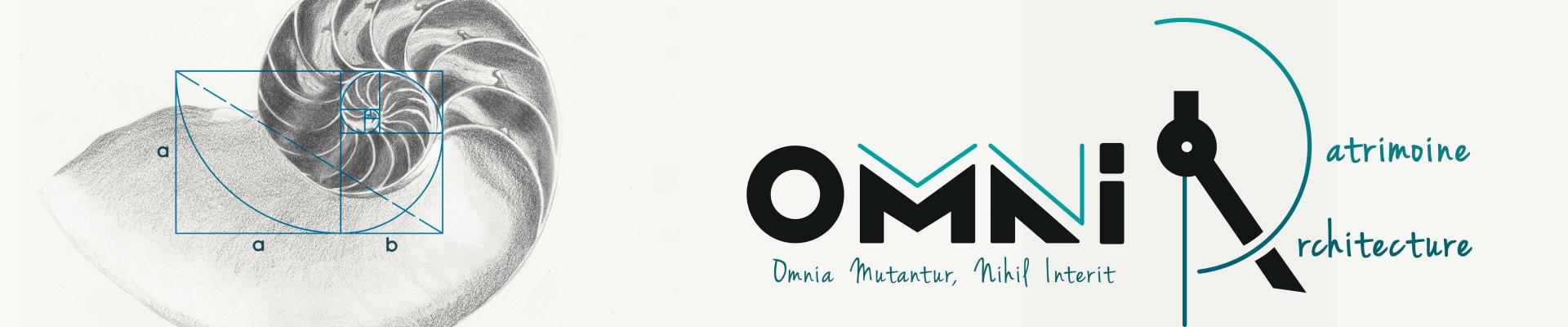 coquille_nombre_or_ok.jpg