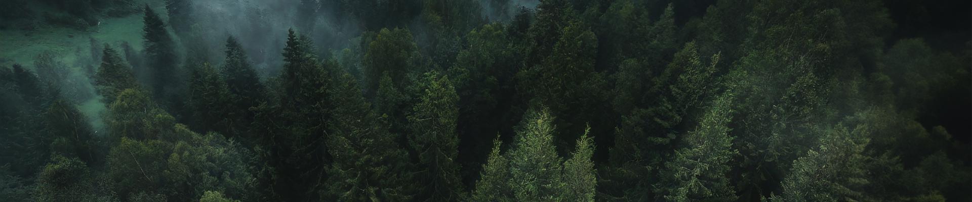 adobestock_694049777_1.jpeg