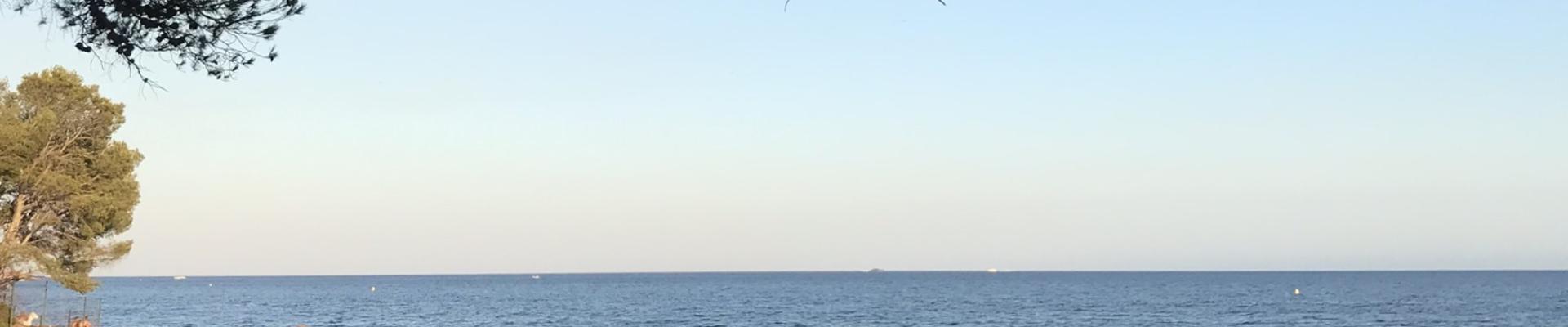 Photo d'un Pin parasol et une vue sur la mer méditerranée