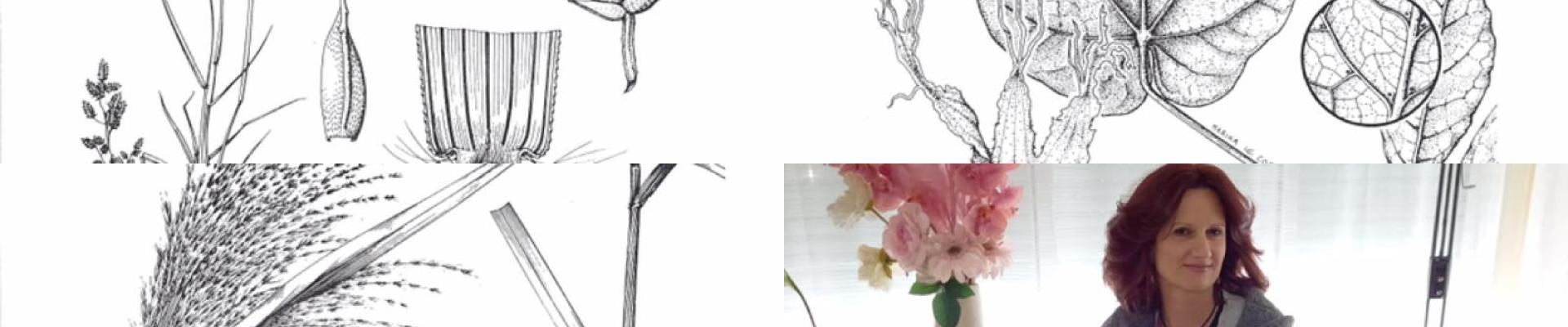 Design-architecte 