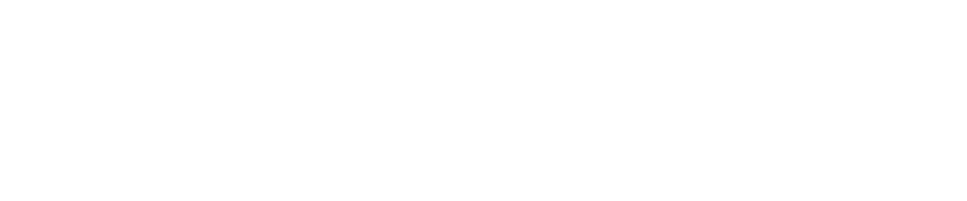 LEV2A - Architecture Audit 