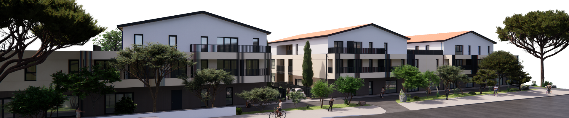 Perspective projet