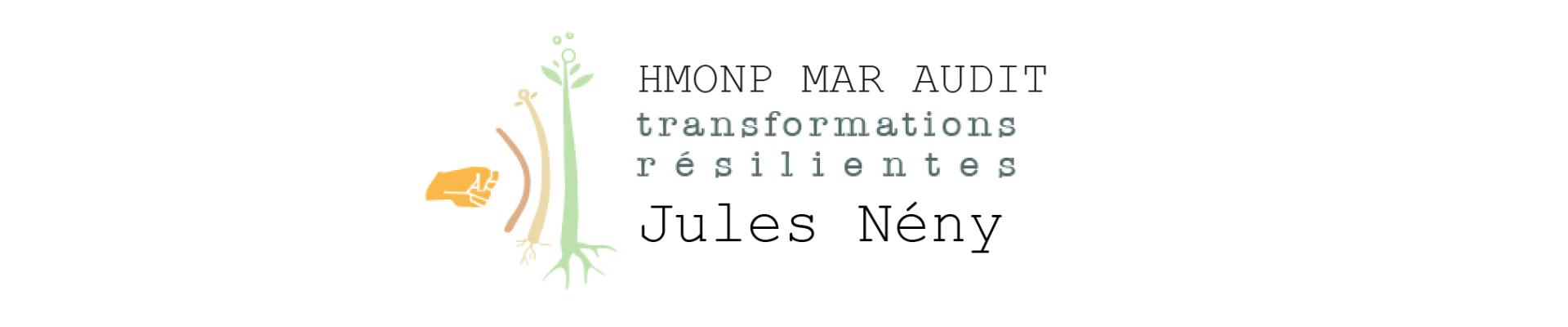 Transformations résilientes - EI