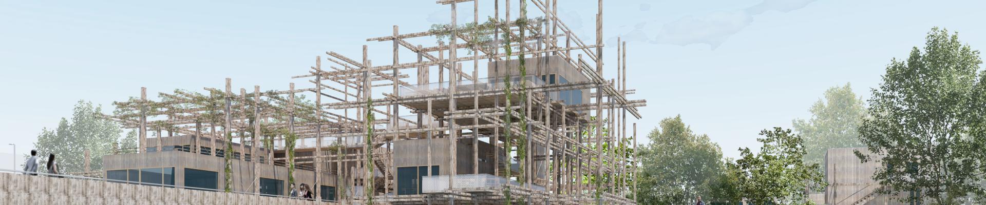 ARCHITECTURE ORGANIQUE