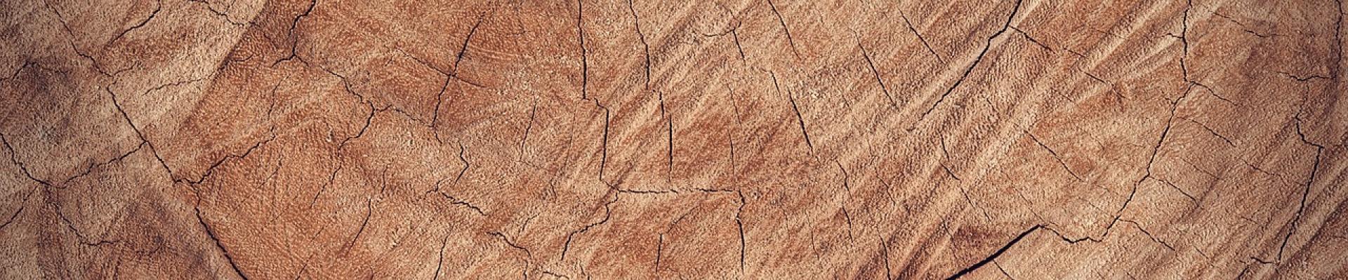Gros plan texturé sur la section transversale d'un tronc d'arbre coupé. La surface en bois présente des nuances de brun chaud et de beige, marquée par des cernes de croissance circulaires.