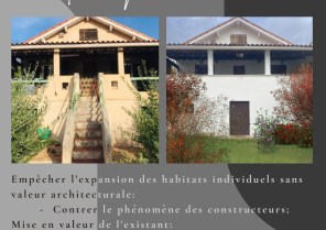 larenovation.png