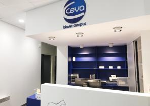 mediaa_ceva_up2_d.jpg