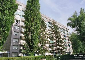 Élisée Châtin à Grenoble