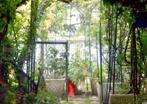 Vue sur le jardin