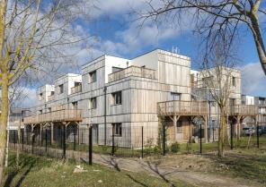les_cedres_de_claudel_02.jpg