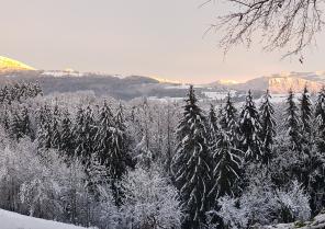 20201205_164941.jpg