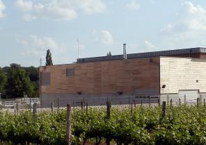 a_step_flec_2012-05-29_21.jpg