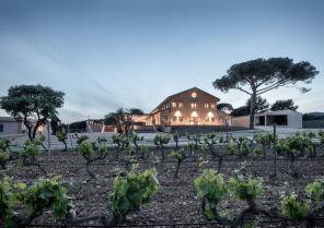 Vue exterieure depuis les vignes