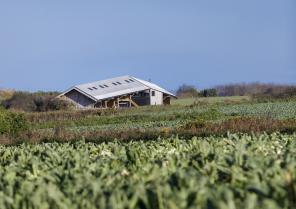 Ferme biologique à PLOUGRESCANT, vue extérieure, photographie Frédéric BARON