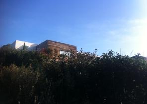 img_2755.jpg