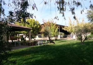 dsc_0314_-_copie.jpg