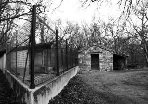 vue-projet-chenil-lot-architecte-lalbenque-46-82-tarn-et-garonne.jpg