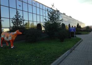 Textile Medicale construction d'une usine textile de 12 000m2 en Roumanie