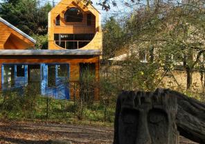 pedroimg_7311reduit_.jpg