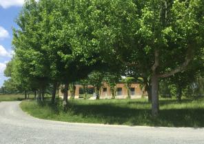 img_6865.jpg