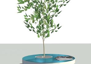 pot-table_vendome.jpg