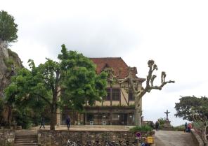 st_cirq_pet_1_sur_1.jpg