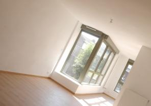 TIII vue depuis le séjour