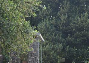 Nature et matériaux