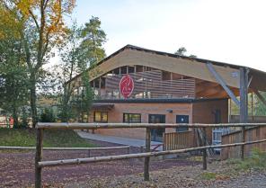 Jeux de transparences dans un environnement boisé.