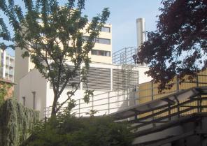 Dans la végétation