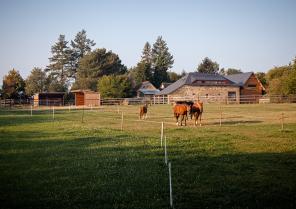 01-craon-proj-ladaajka-photo-pierre-yves-brunaud-6771-lt.jpg