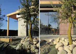 pauline_lanier_architecte_gleize_photo_extension_double5.jpg