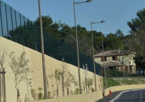 p1000108_2.jpg