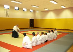 lie2_dojo_bt.jpg