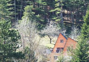 vue lointaine