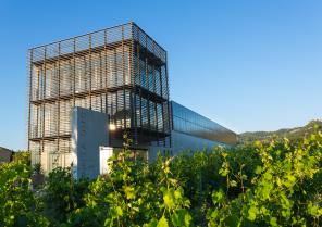 Domaine viticole - Construction contemporaine  